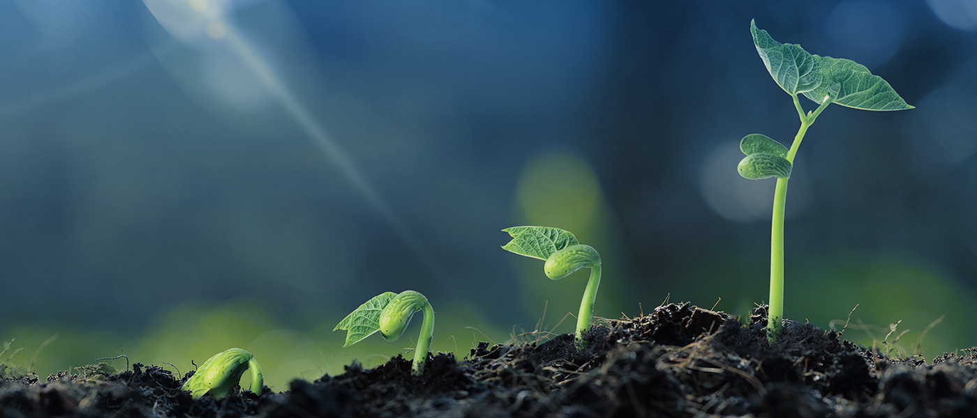 �й���pa���μ���(���޹�˾)�ٷ���վ